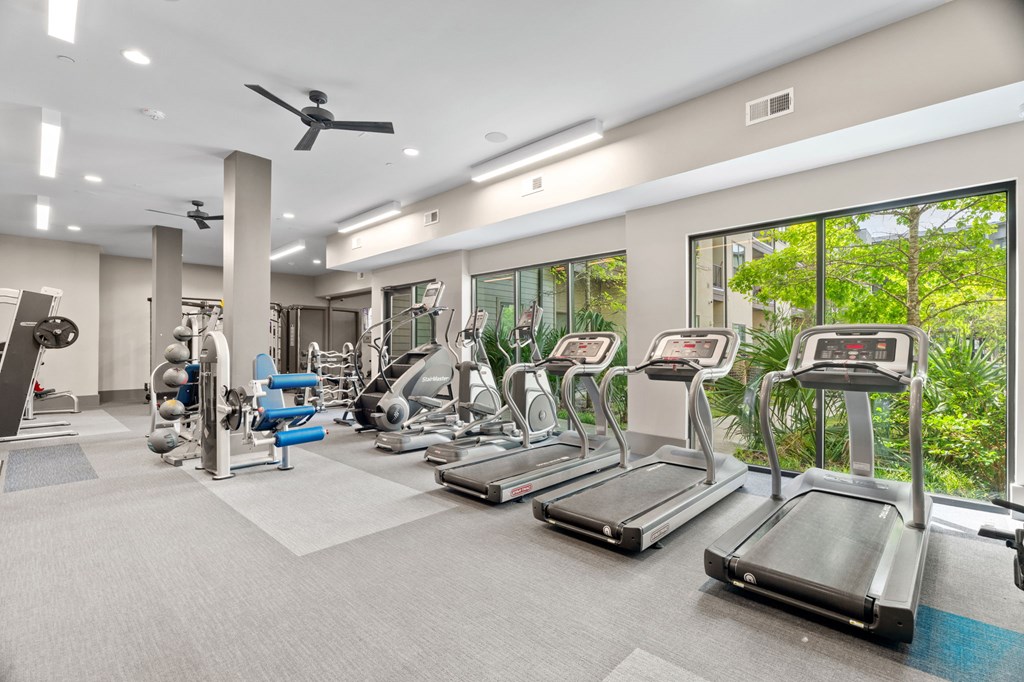 A spacious gym with treadmills, weights, and exercise equipment.