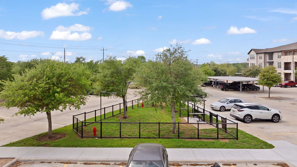 A black fence surrounds a green tree in a parking lot.
