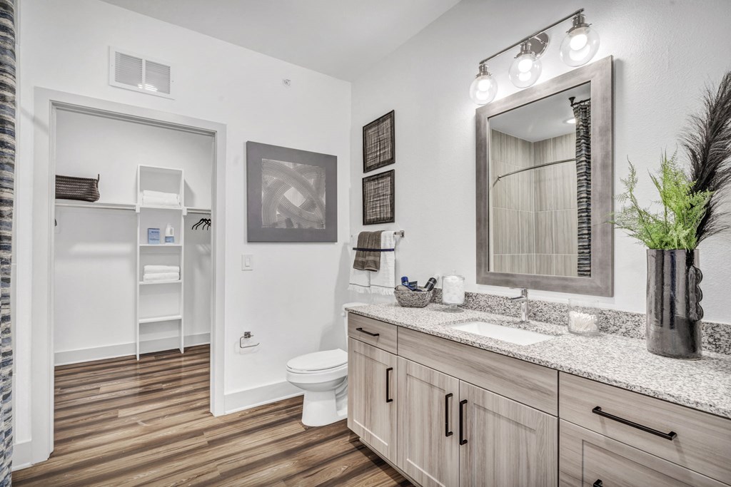 a bathroom with a mirror and a toilet and a sink