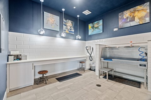 A modern kitchen with a white counter and a sink.