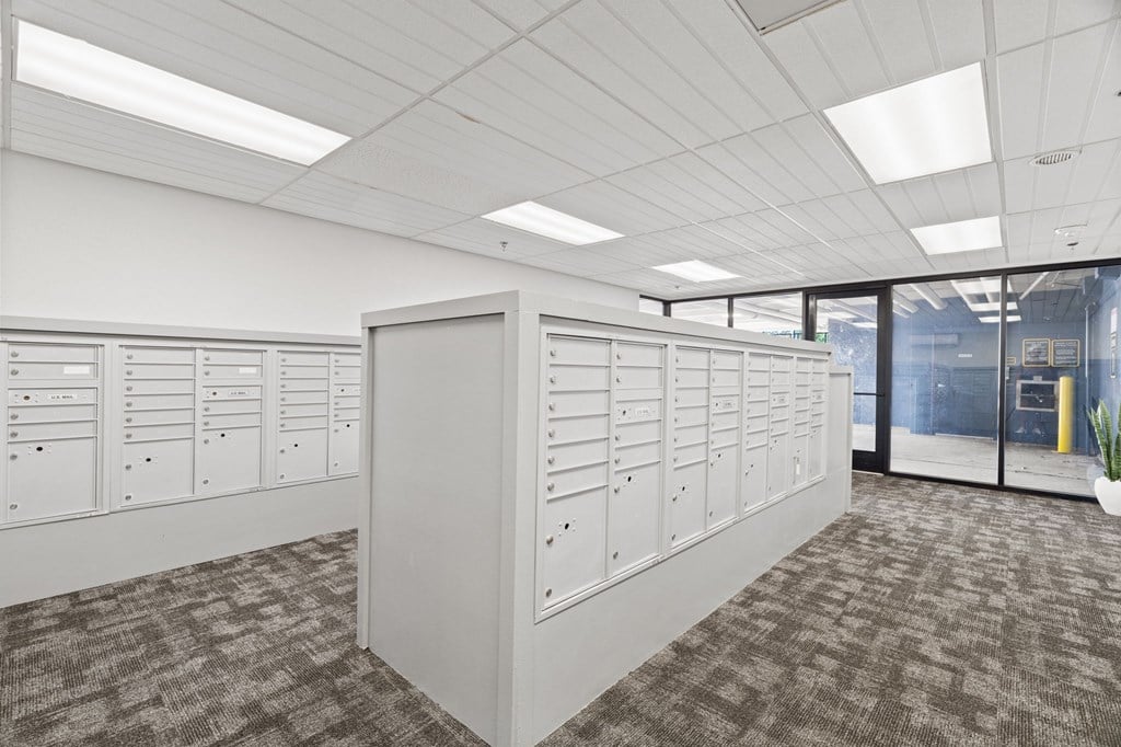 A room with white cabinets and a grey carpet.