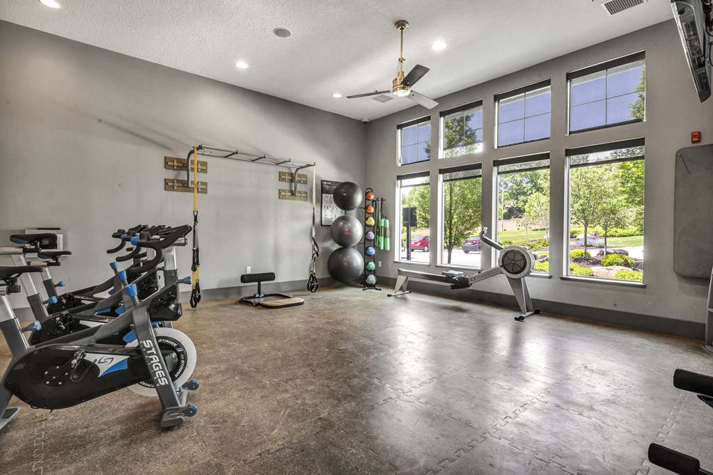 the gym at 1861 muleshoe road