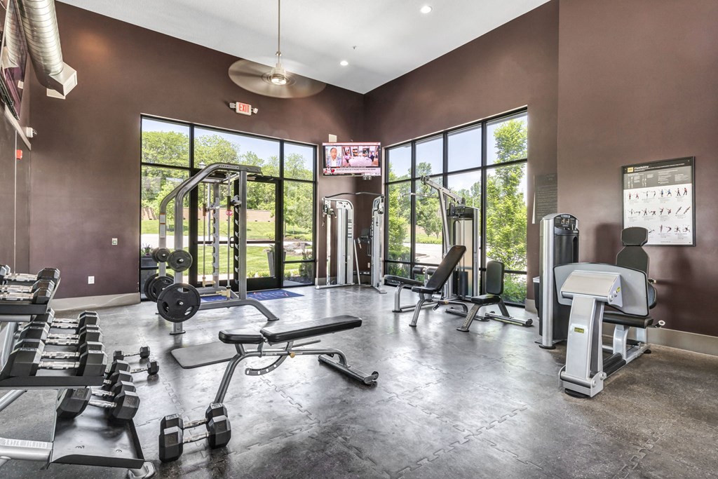 a gym with weights and cardio equipment and windows
