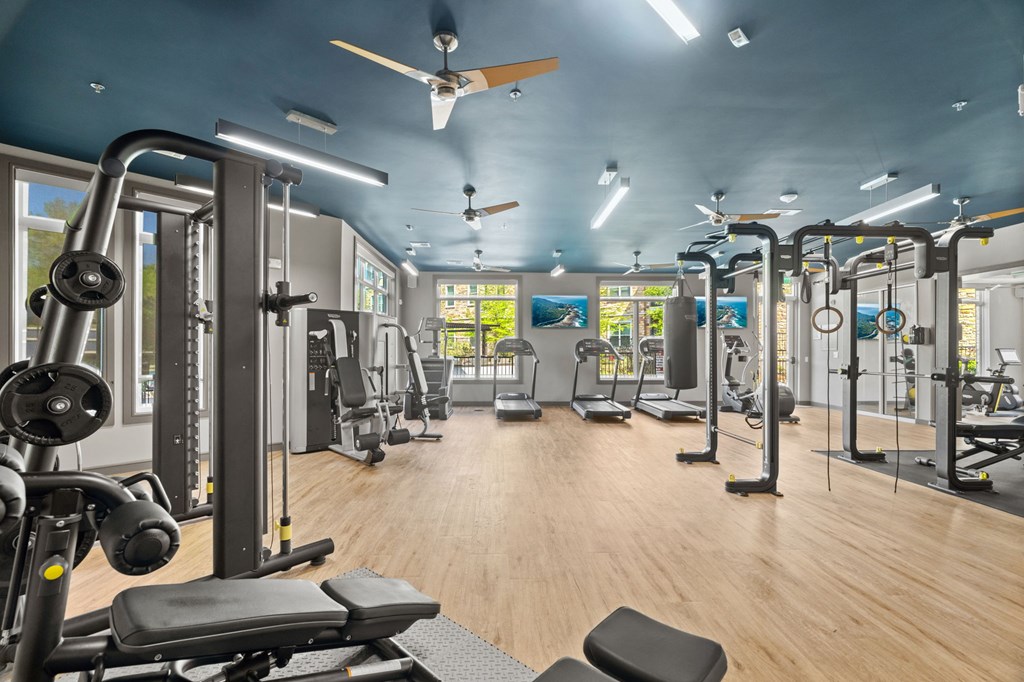 A gym with a variety of equipment including treadmills, weights, and exercise machines.