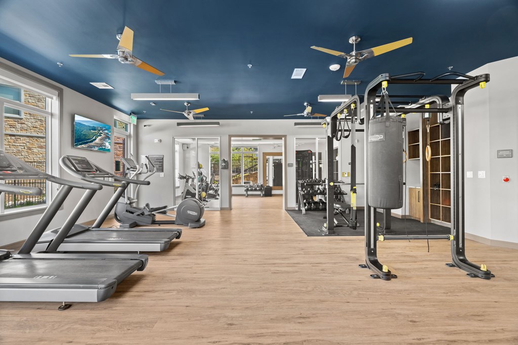 A gym with treadmills, exercise bikes, and other equipment.