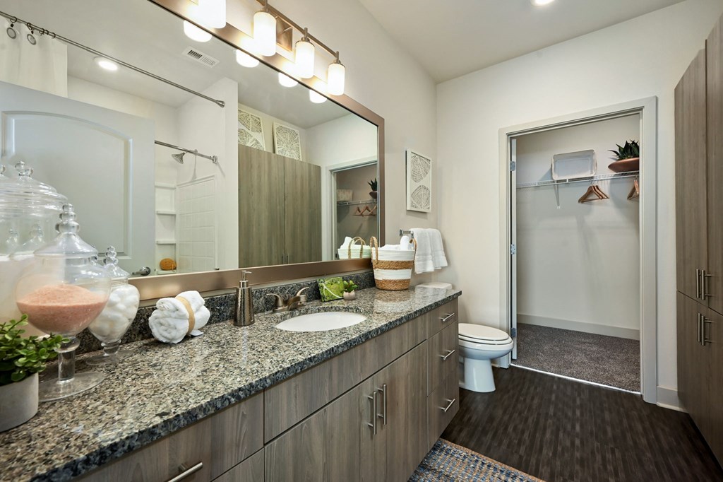 a bathroom with a sink and a toilet and a shower