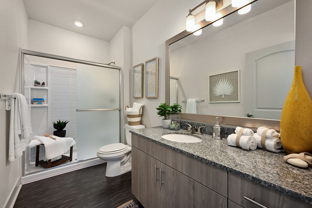 a bathroom with a sink and a toilet