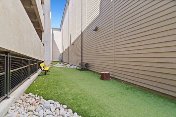 A small patch of grass sits between two buildings.