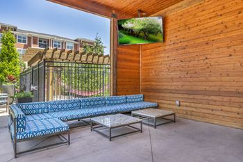 Outdoor couches TV lounge¦Kansas City Luxury Apartments