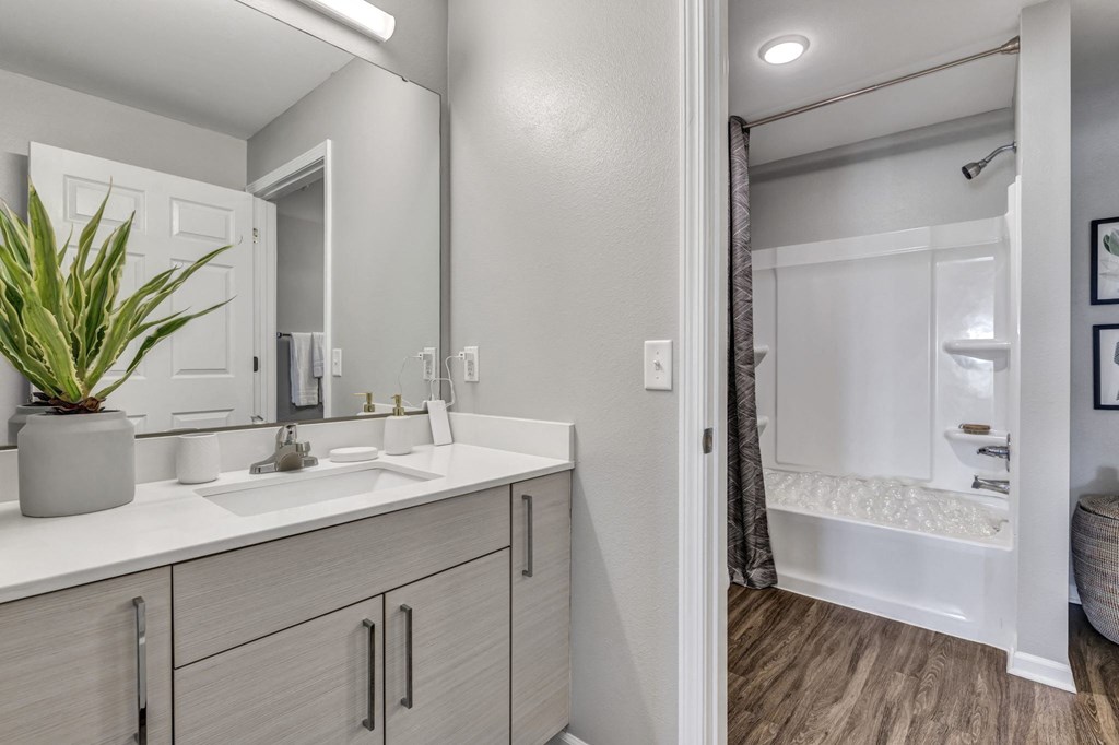 a bathroom with a sink and a shower and a mirror