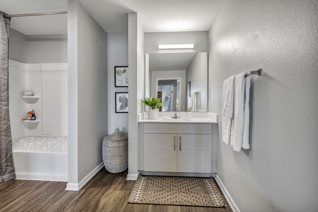 a bathroom with a sink and a mirror
