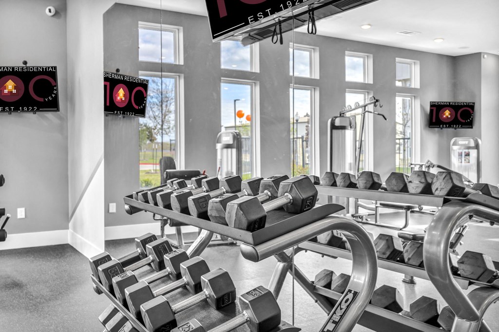 a gym with a row of dumbbells in front of windows