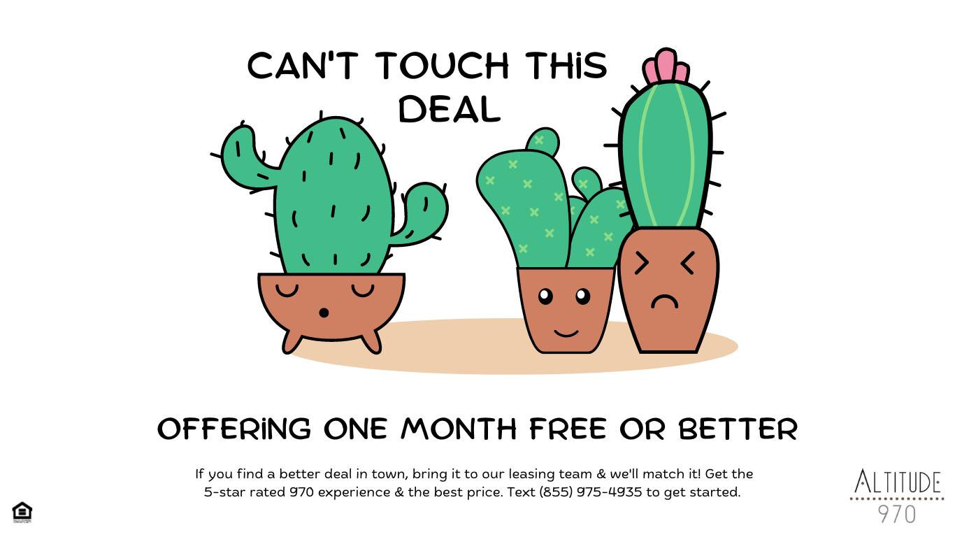 an illustration of three cactus plants with the caption cant touch this deal
