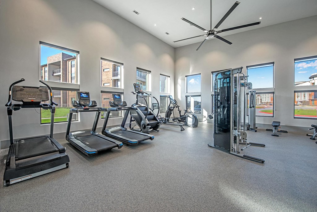 the gym is equipped with cardio equipment and weights