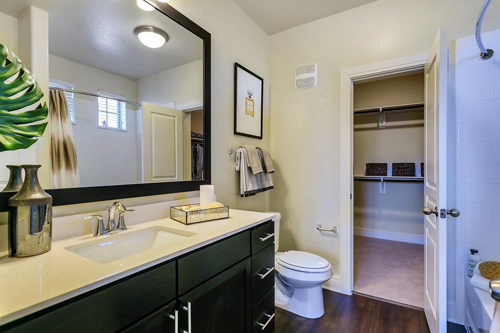 a bathroom with a sink and a toilet and a mirror