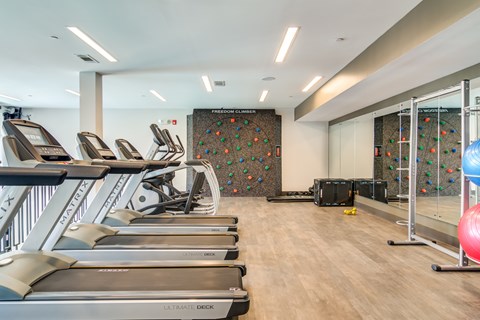 A gym with treadmills and a climbing wall.