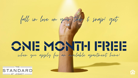 A hand is holding a ring with the text "fall in love on your toon & snap! get ONE MONTH-FREE when you apply for an available apptment home!"