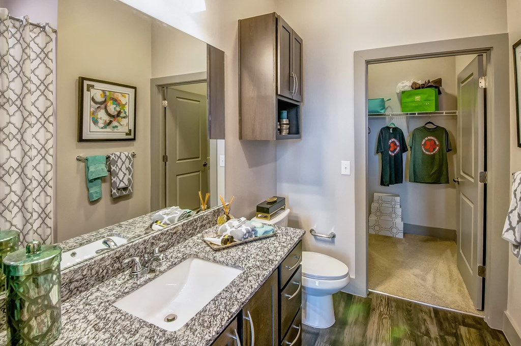 a bathroom with a sink and a toilet and a mirror