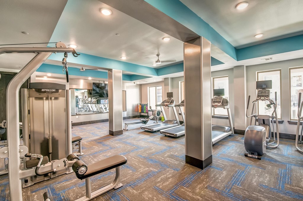 a gym with cardio machines and weights at the enclave at woodbridge apartments