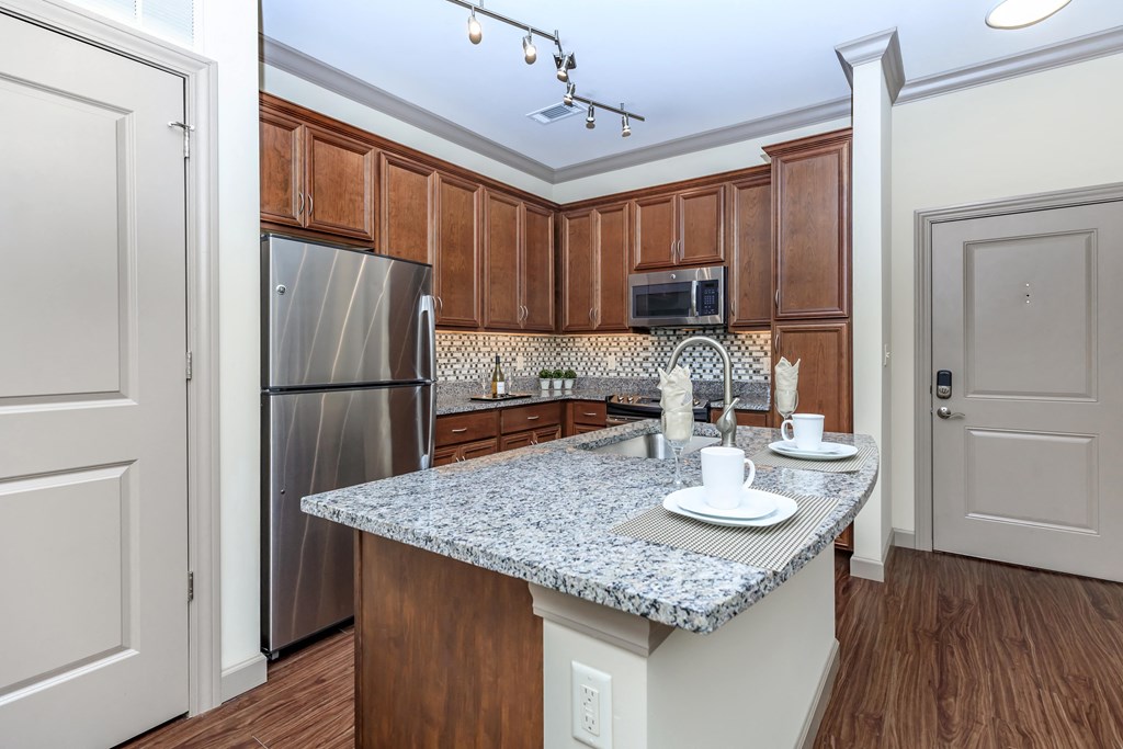 The_Orion_Interior_9_St_Louis_MO