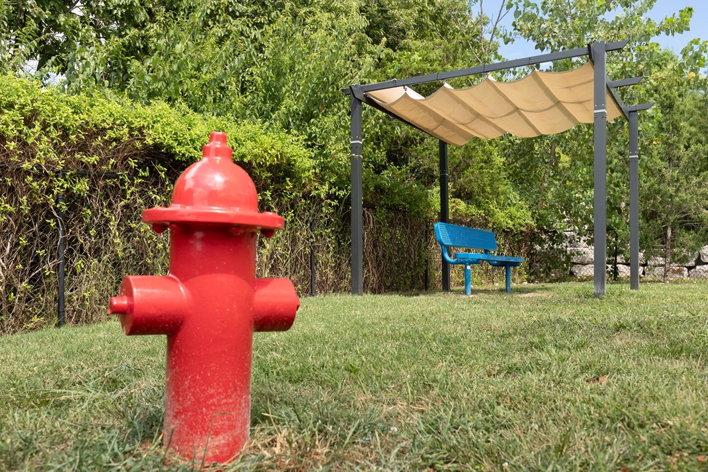 A red fire hydrant stands in a grassy area next to a blue bench at Alinea Town and Country Luxury Apartments in Des Peres MO 63131.
