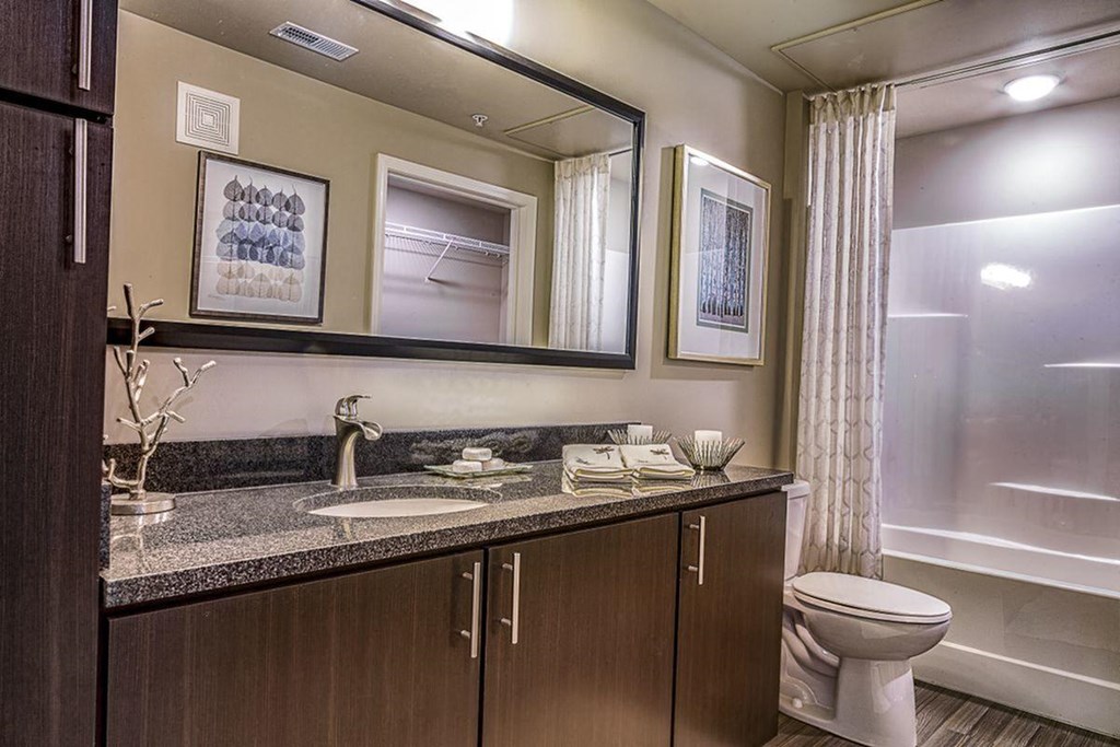 a bathroom with a sink and a toilet and a shower