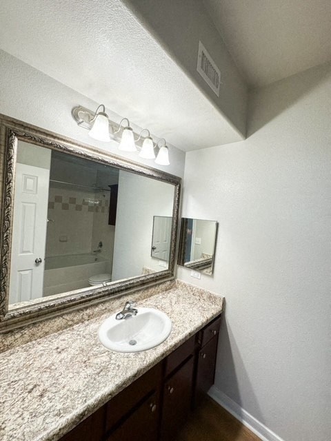 a bathroom with a sink and a mirror