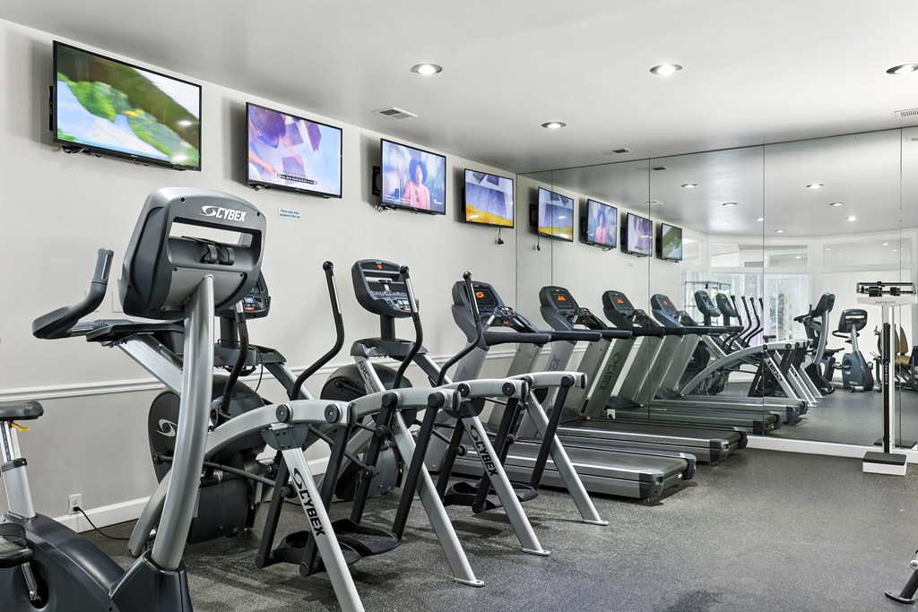 A gym with treadmills and exercise bikes.
