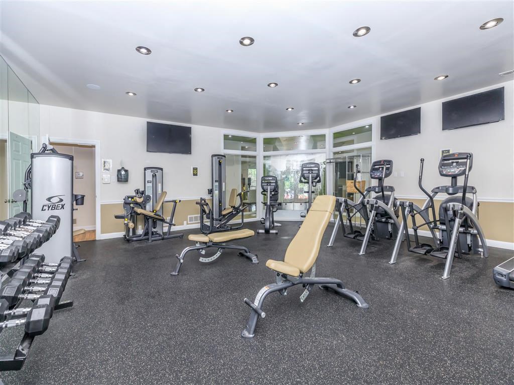 the gym is equipped with cardio equipment and weights