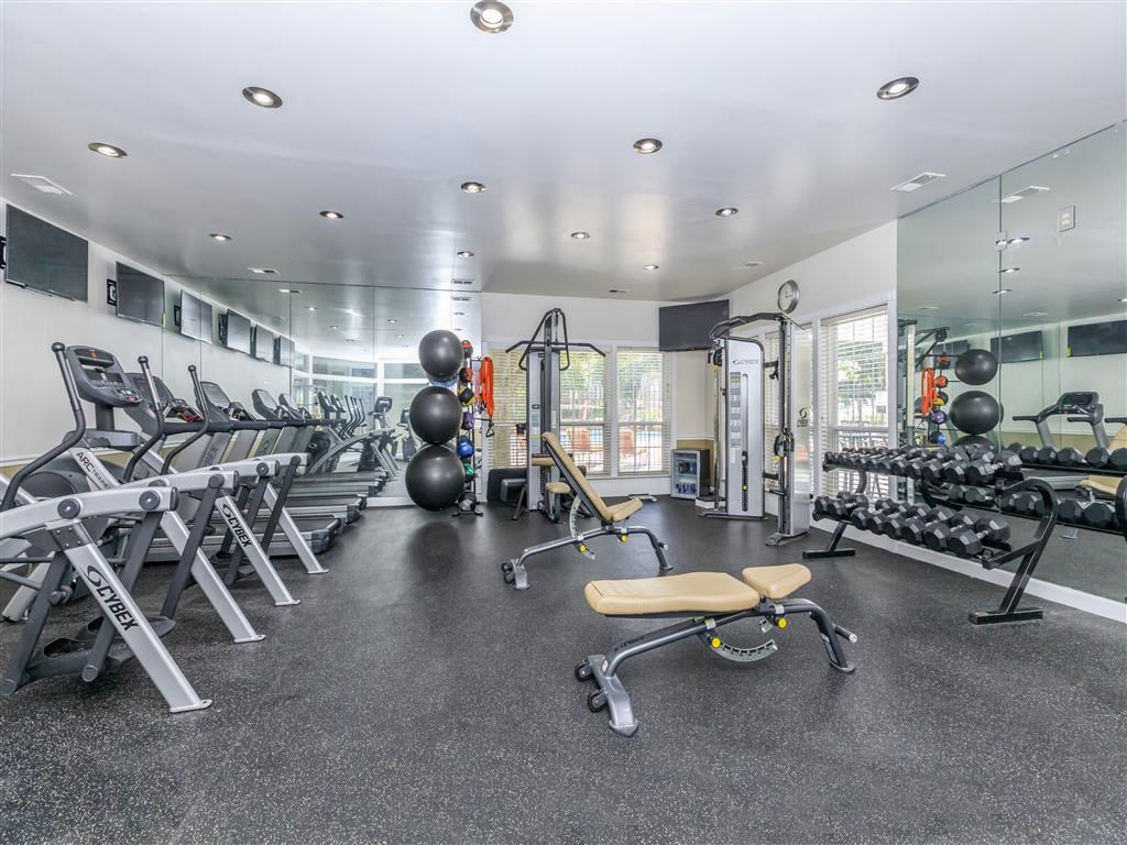 the gym is stocked with weights and cardio equipment