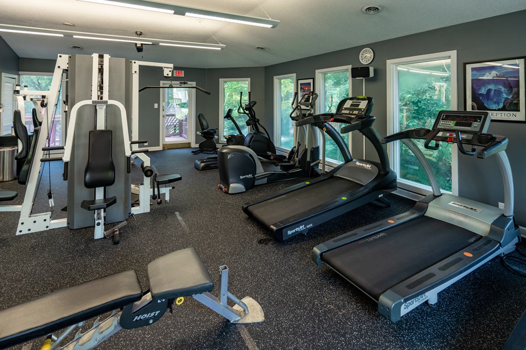 a gym full of cardio equipment and exercise machines