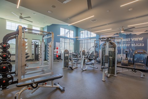 A gym with a variety of equipment including a squat rack, bench, and weights.
