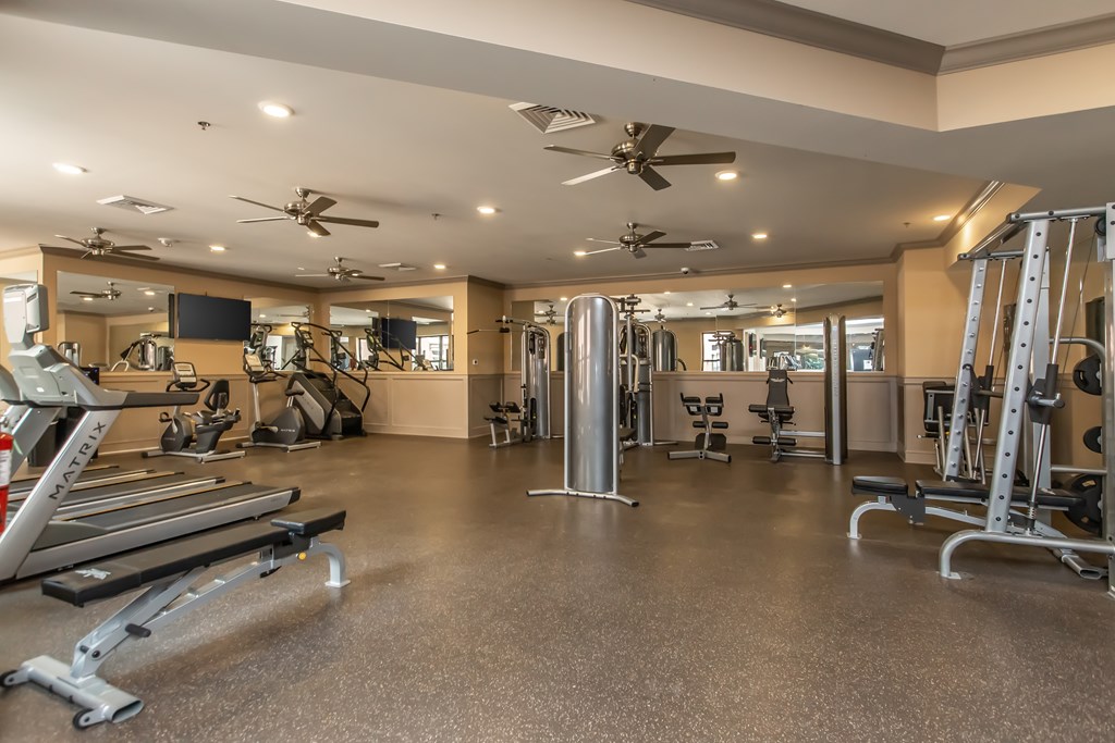 A spacious gym with a variety of equipment including treadmills, weight machines, and a television.