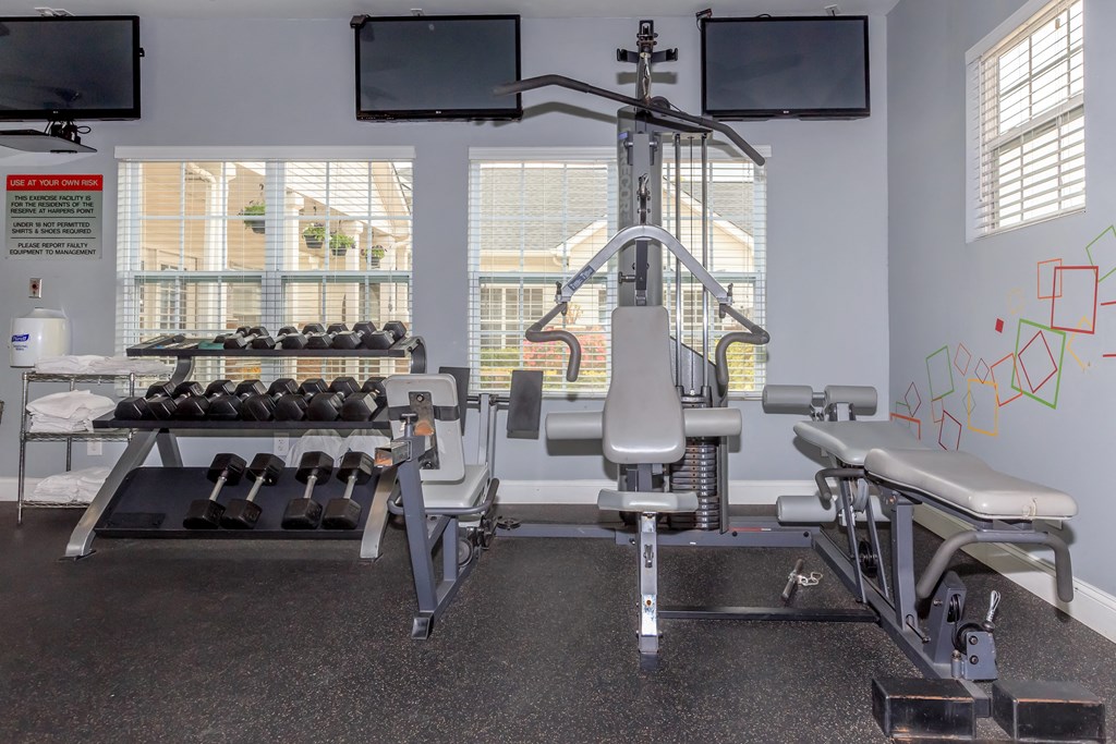 A gym with a row of dumbbells and a bench press.