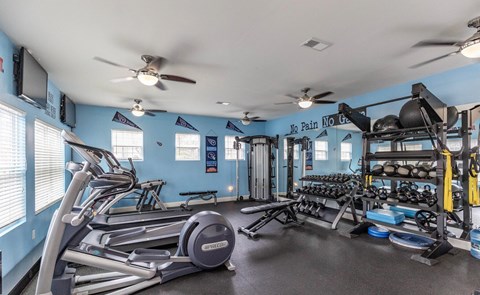 A gym with a variety of equipment including treadmills, weights, and a television.