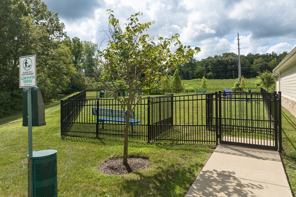 A sign in a park indicates that dogs are allowed off-leash.