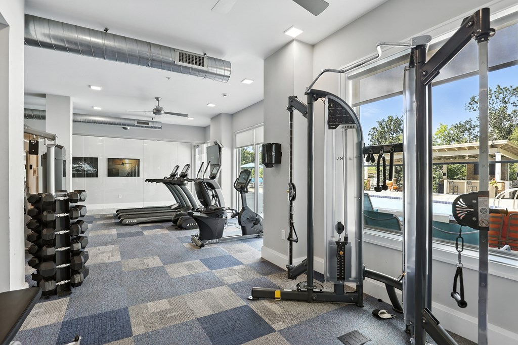 A gym with a variety of equipment including treadmills, weights, and a squat rack.