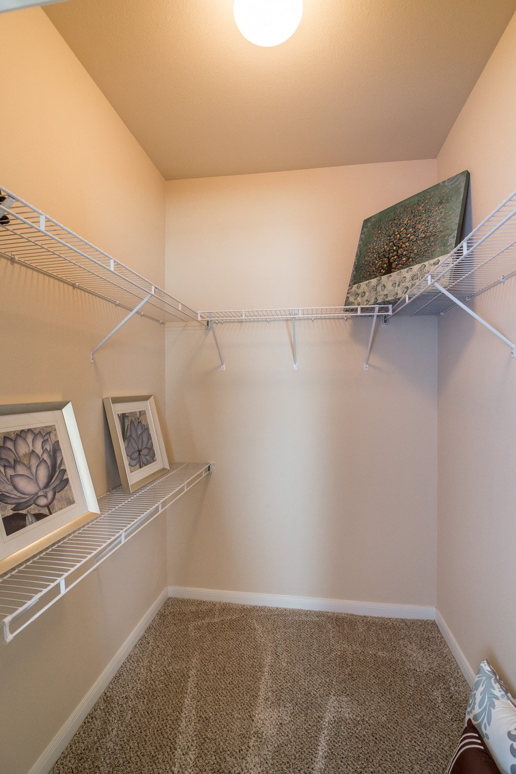 Boulder_Creek_Interior_13_San_Antonio_TX