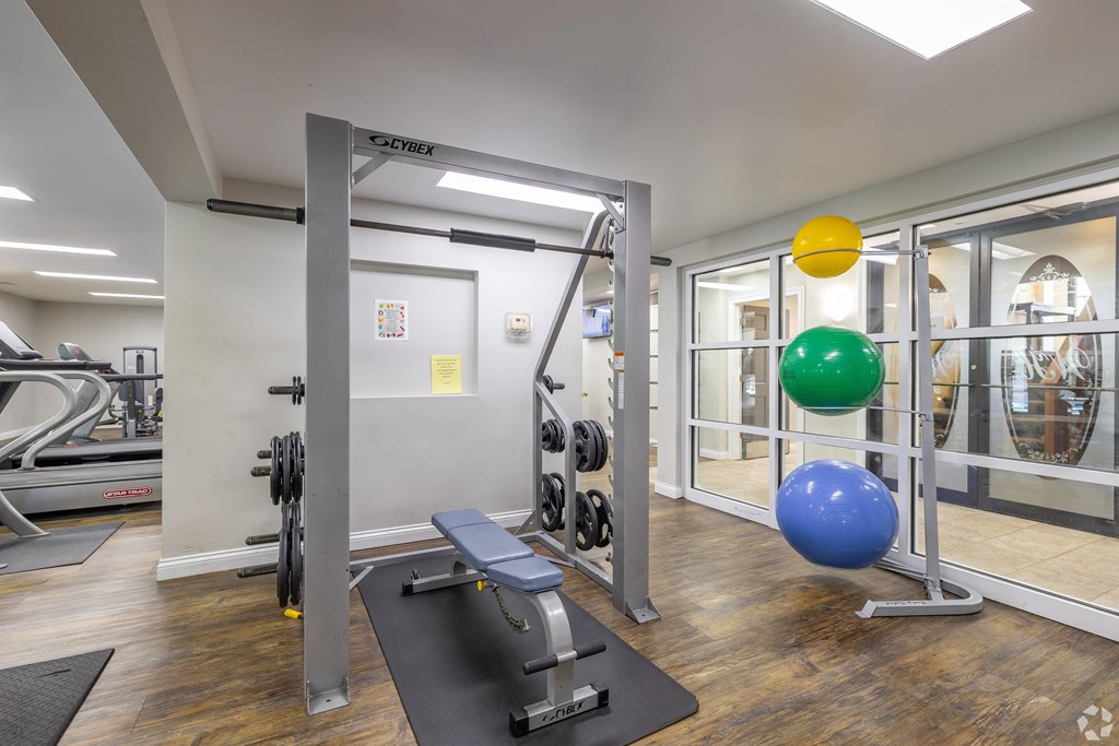 A gym with a variety of equipment including a treadmill, weights, and exercise balls.