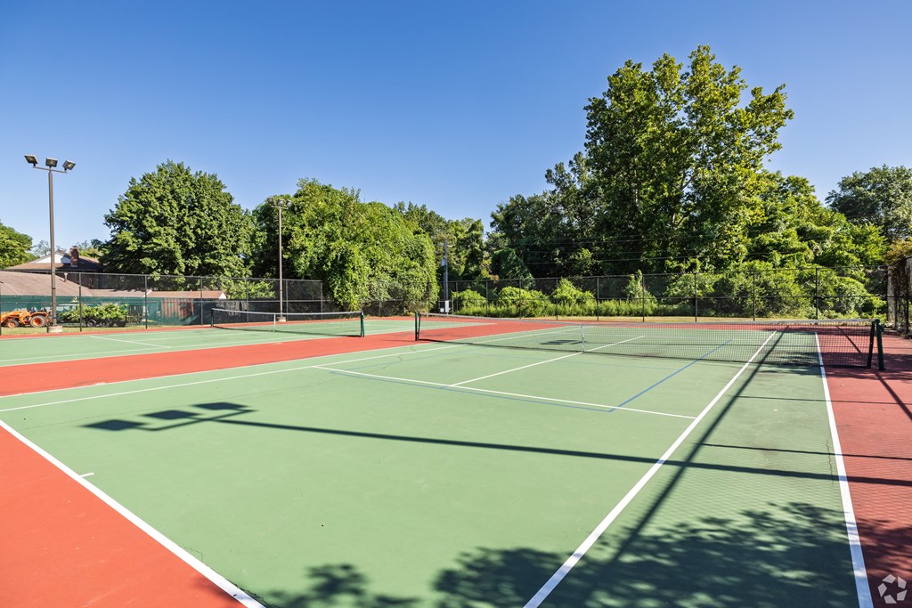 A tennis court with a net and trees in the background.