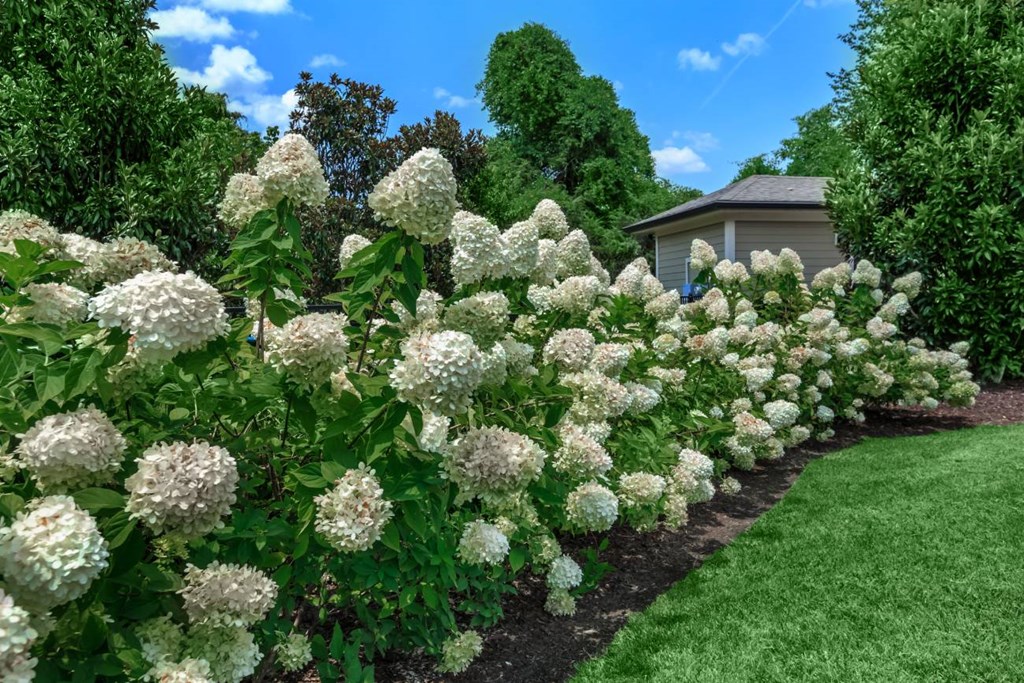 Panther_Creek_Parc_Exterior_1_Murfreesboro_TN