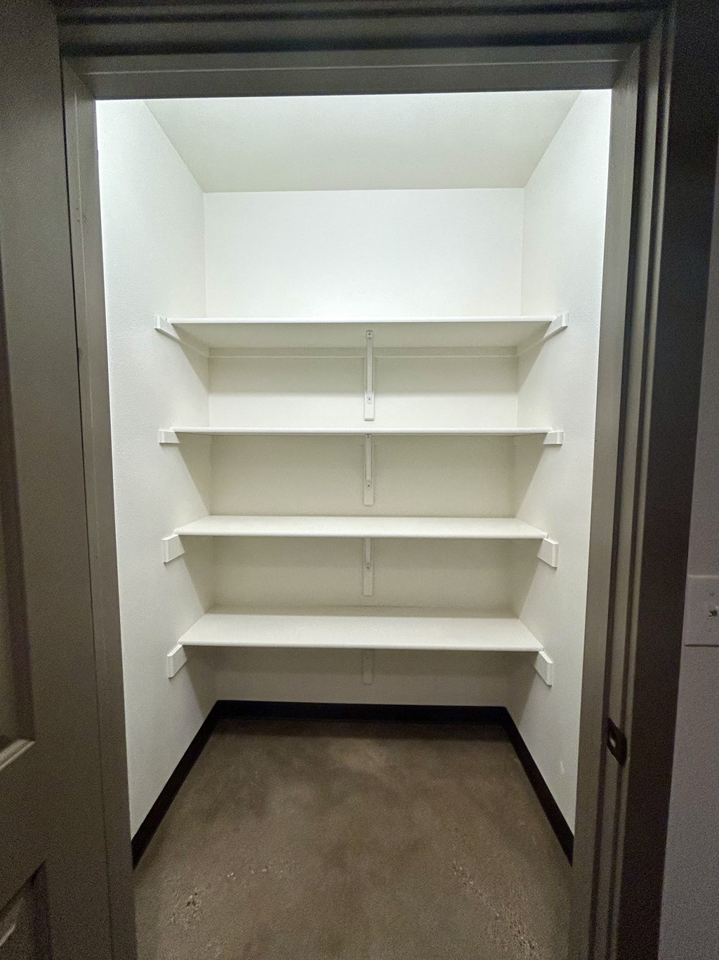 Empty white shelves in a dark room.