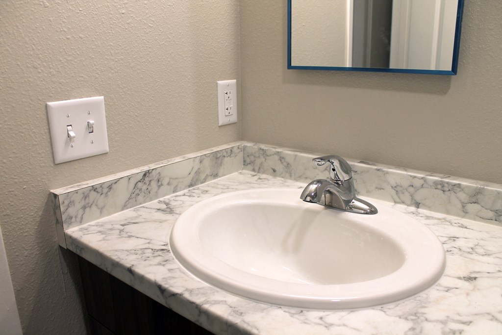 Village on Bryan bathroom