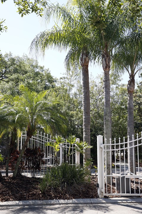 two palm trees in front of a white fence