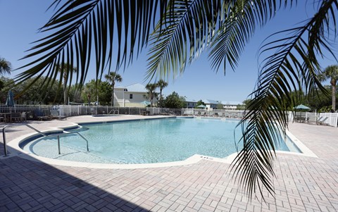 a resort style pool with palm trees in front of it
