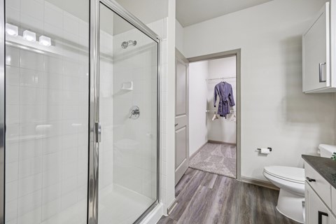 A bathroom with a walk-in shower and a toilet.