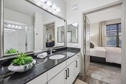 A bathroom with a large mirror, sink, and a potted plant on the counter.