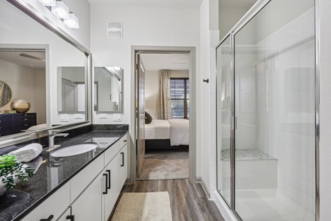 A bathroom with a walk-in shower and a vanity with a mirror.