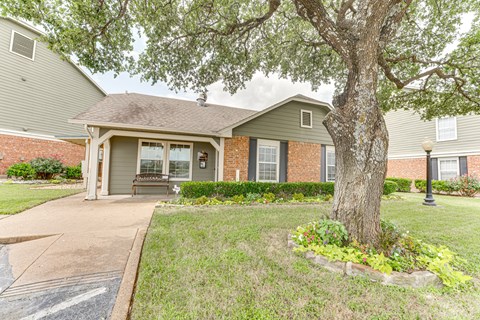 A tree is in front of a brick building.