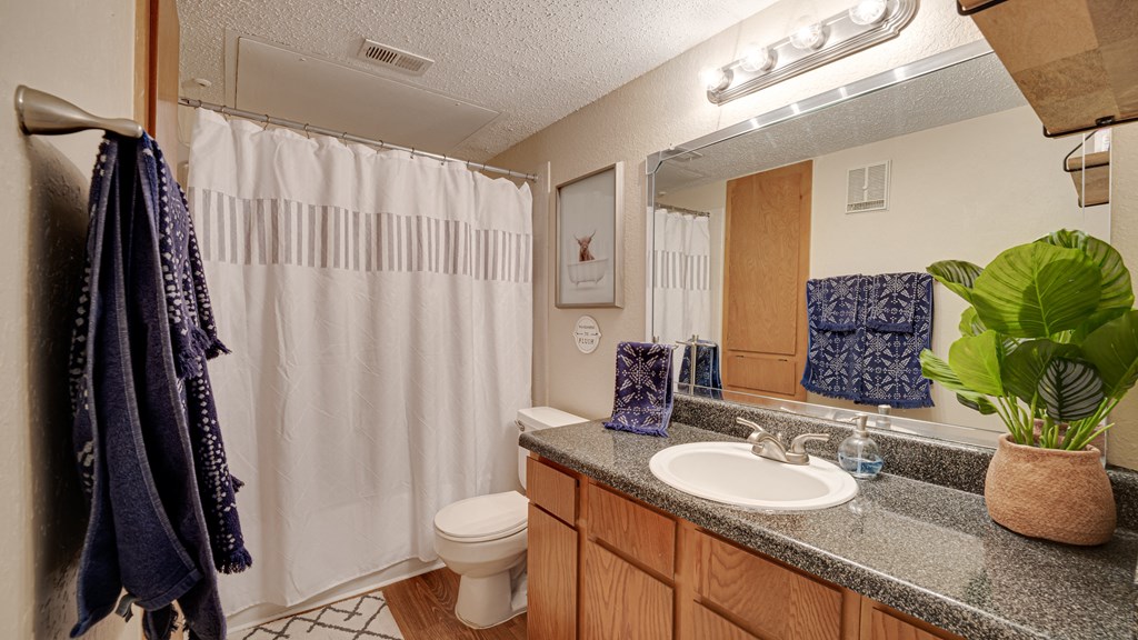 Bathroom With Vanity Lights at Bardin Oaks, Arlington